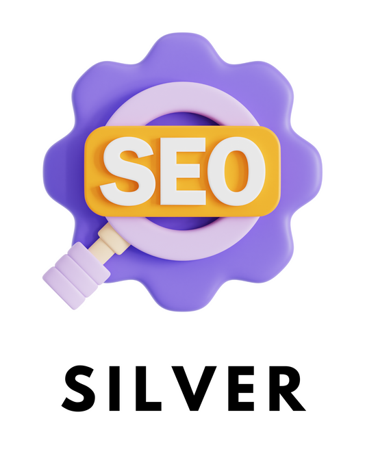 SILVER SEO PLAN